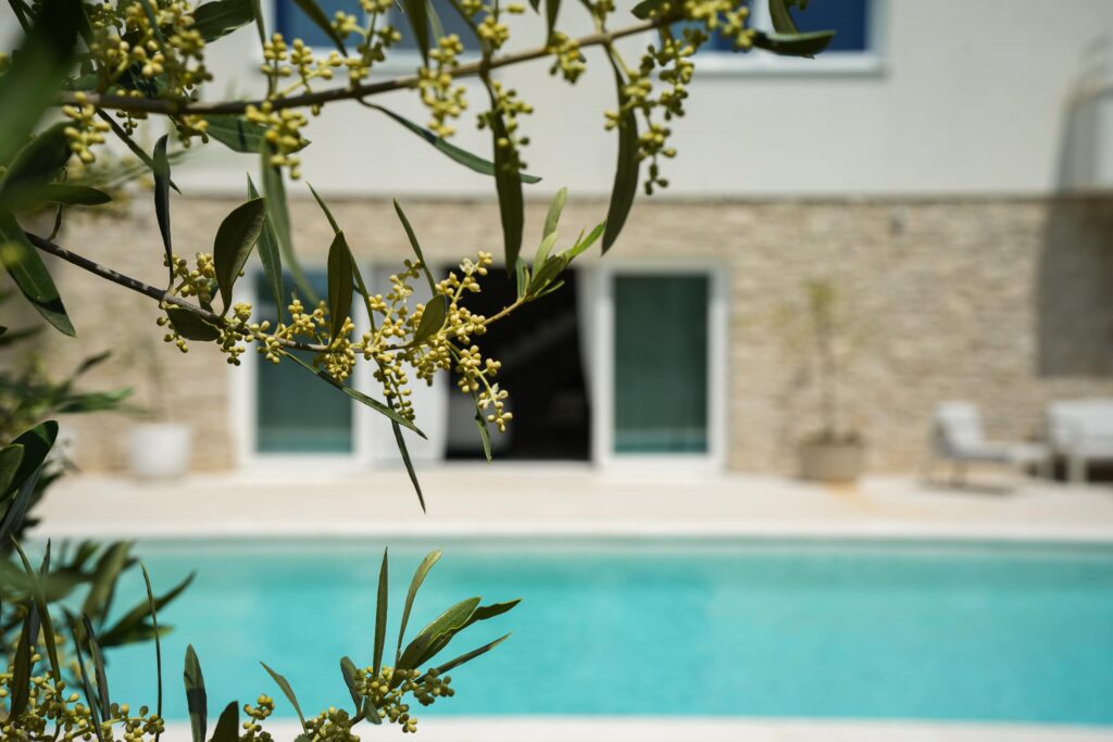 Villa Lu Pool